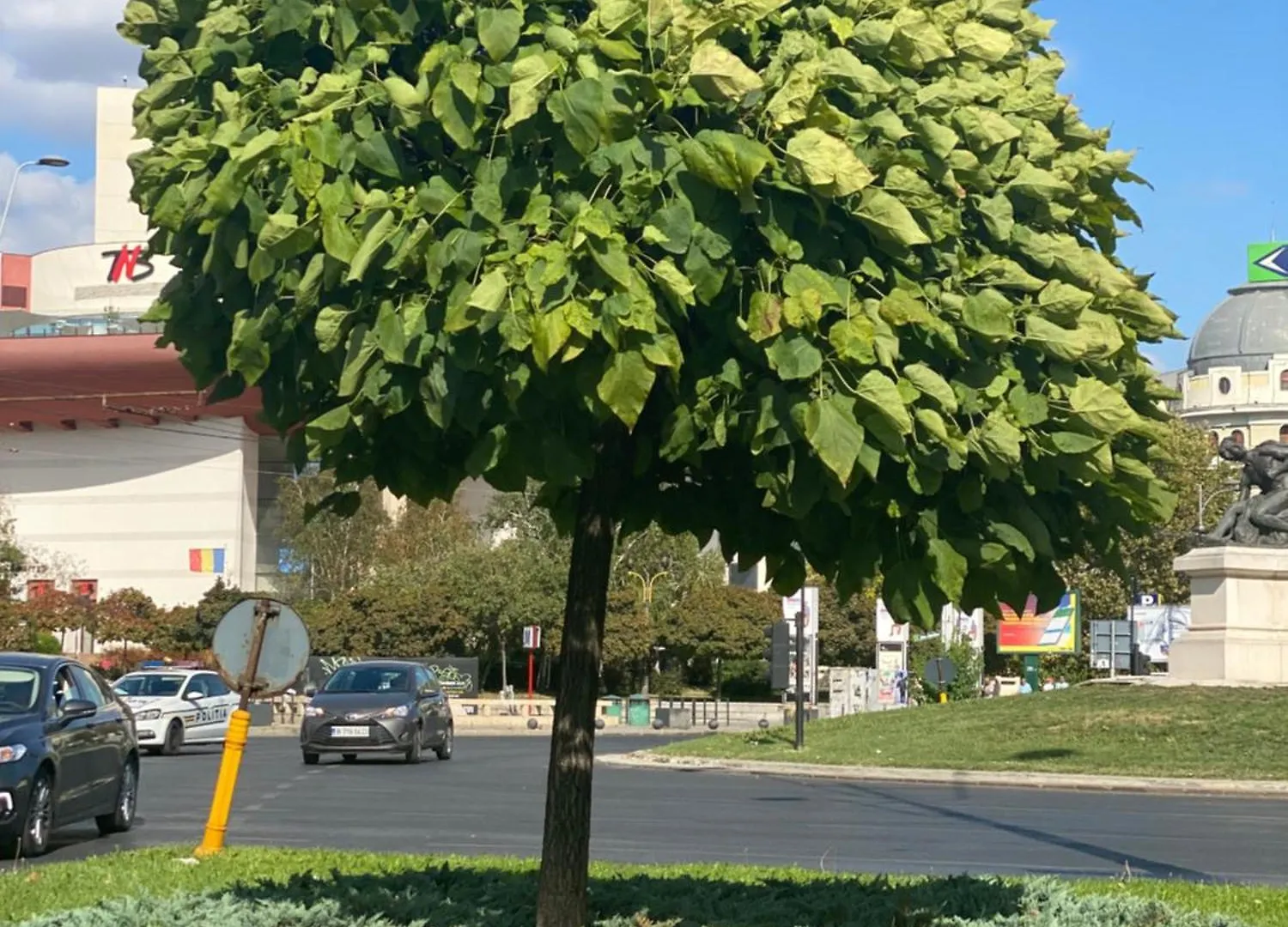 Apartamento Avalon University Bucareste Roménia